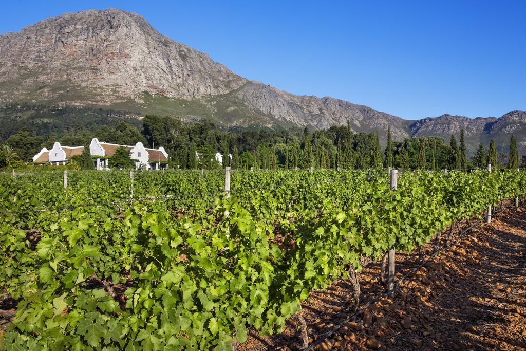 La Providence 4* Franschhoek